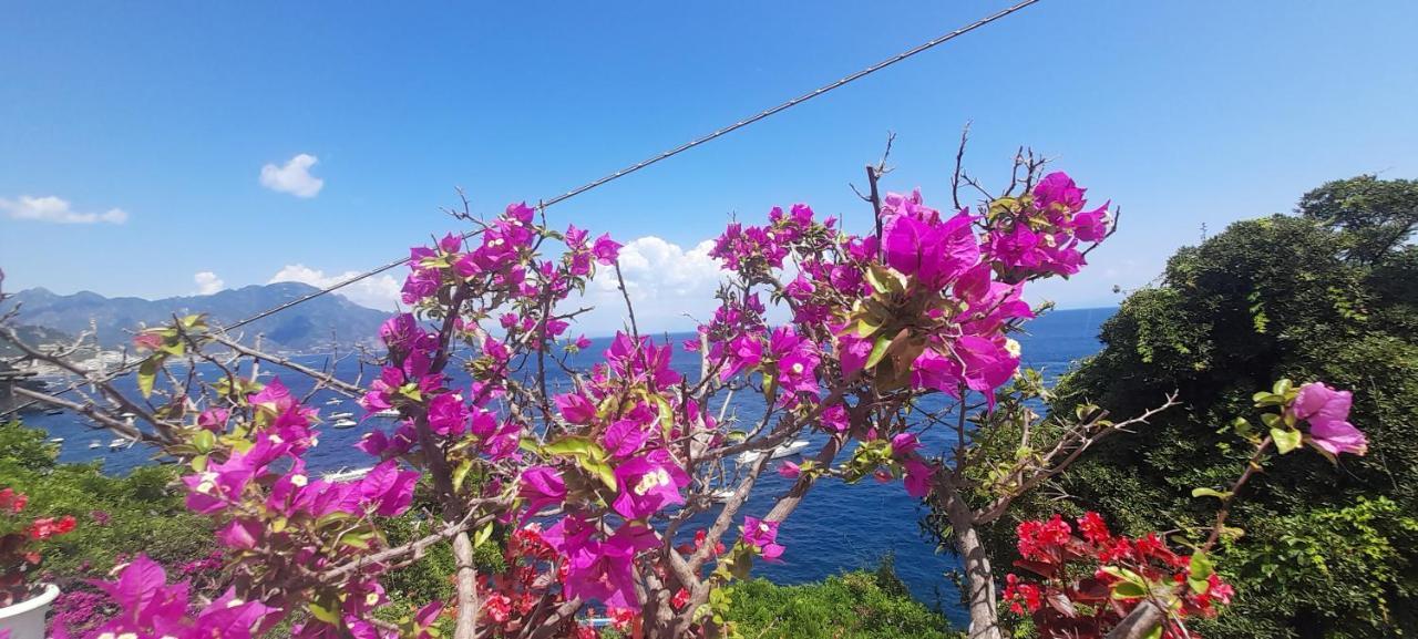 Villa Gianna Amalfi Coast Conca dei Marini Luaran gambar
