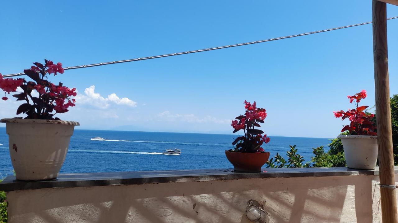 Villa Gianna Amalfi Coast Conca dei Marini Luaran gambar